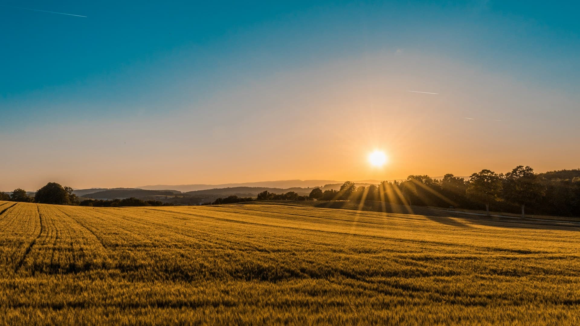 Wairarapa land and property services